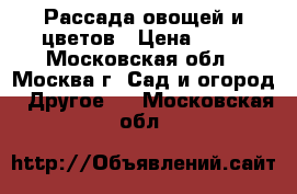 Рассада овощей и цветов › Цена ­ 70 - Московская обл., Москва г. Сад и огород » Другое   . Московская обл.